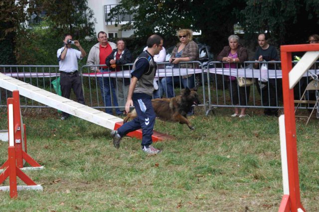 foire-haricots 2011-09-17et18